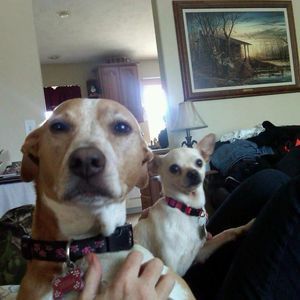 Meet your Posher, Ramona